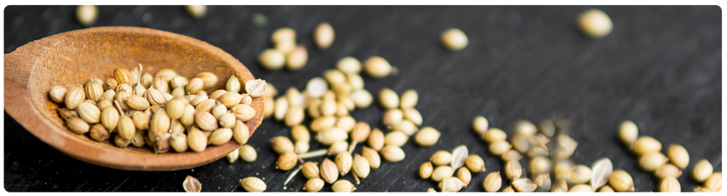 Coriander seeds
